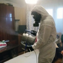 Дезинфекция от клопов в Уяре