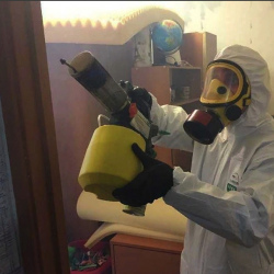 Уничтожение клопов в квартире. Уяр